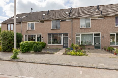 Moermond thumbnail