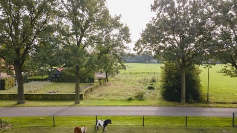 Witvenstraat thumbnail