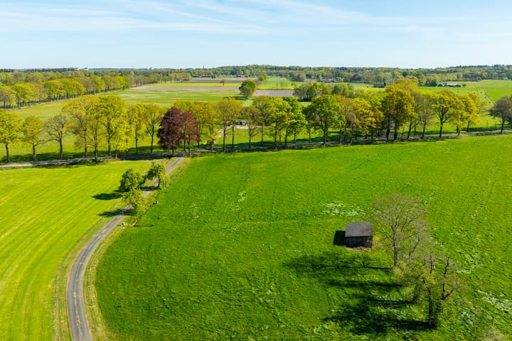 Foto 4 van Dollehoedsdijk 15
