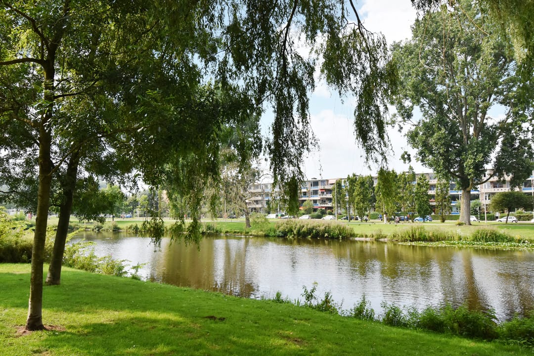 Foto 46 van Pieter de Voisstraat 1