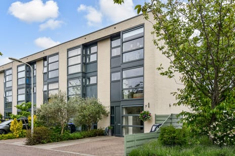Pieter de Voisstraat thumbnail