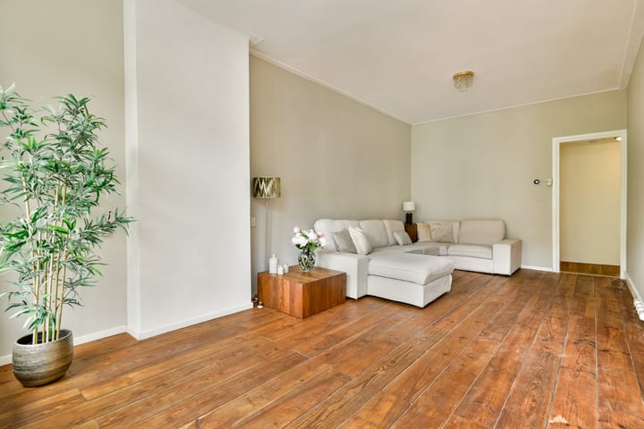 Foto 4 van Cornelis Anthoniszstraat 25-2