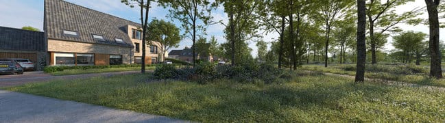 Tuin