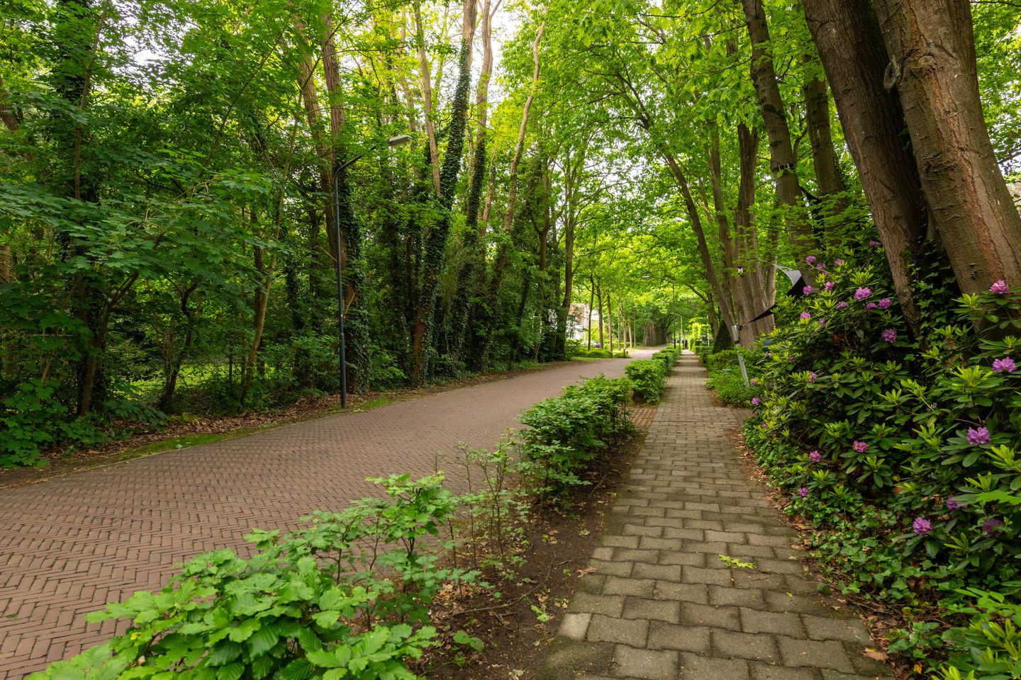 Foto 49 van Lekkerbeetjenlaan 106