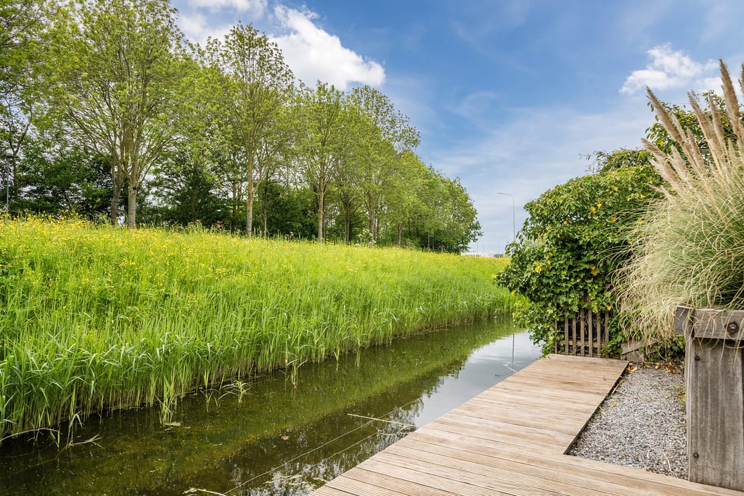 Photo 52 of Watermunt 29