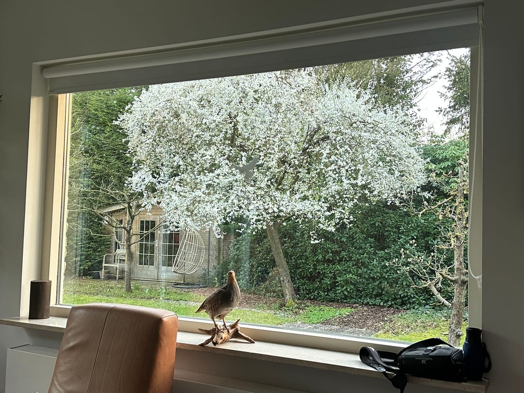 Photo 61 of Beek en Brink 14