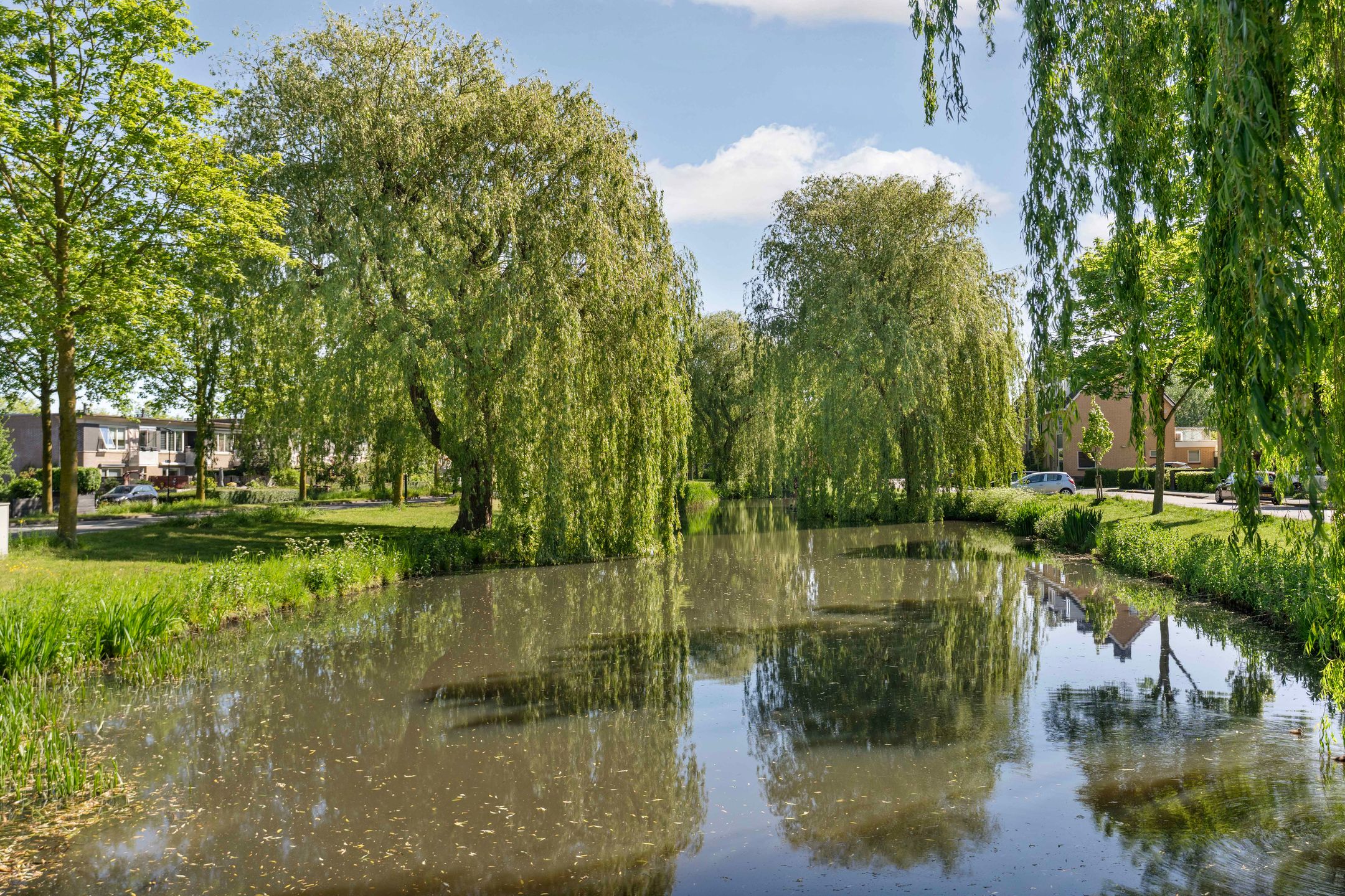 Photo 42 of Starnheim 7