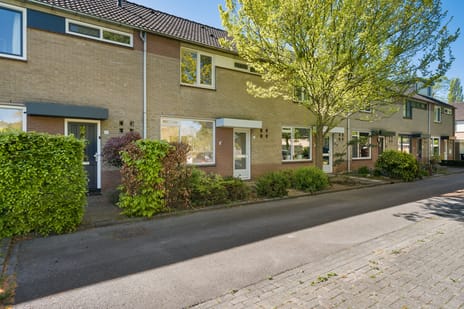 Lindenstraat thumbnail