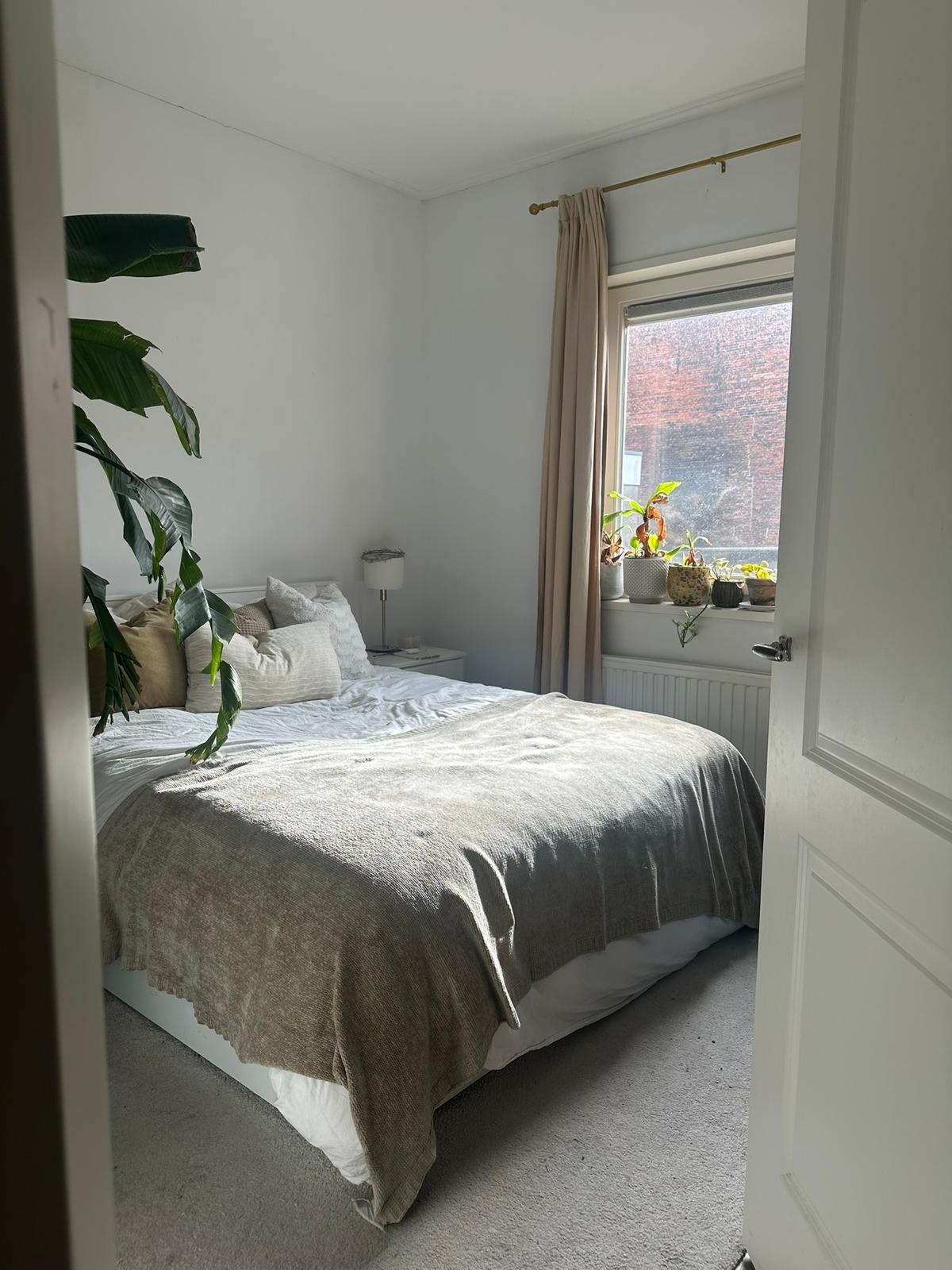 Foto 10 van Gedempte Oude Gracht 7-A