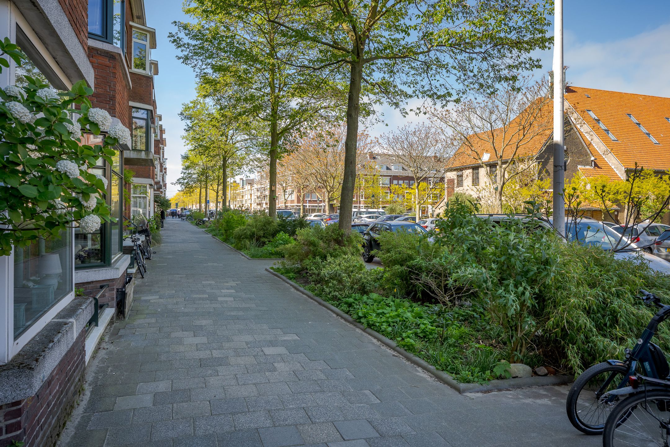 Photo 6 of Pomonaplein 87