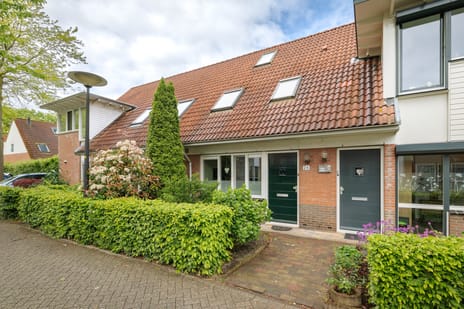 Verschoorstraat thumbnail