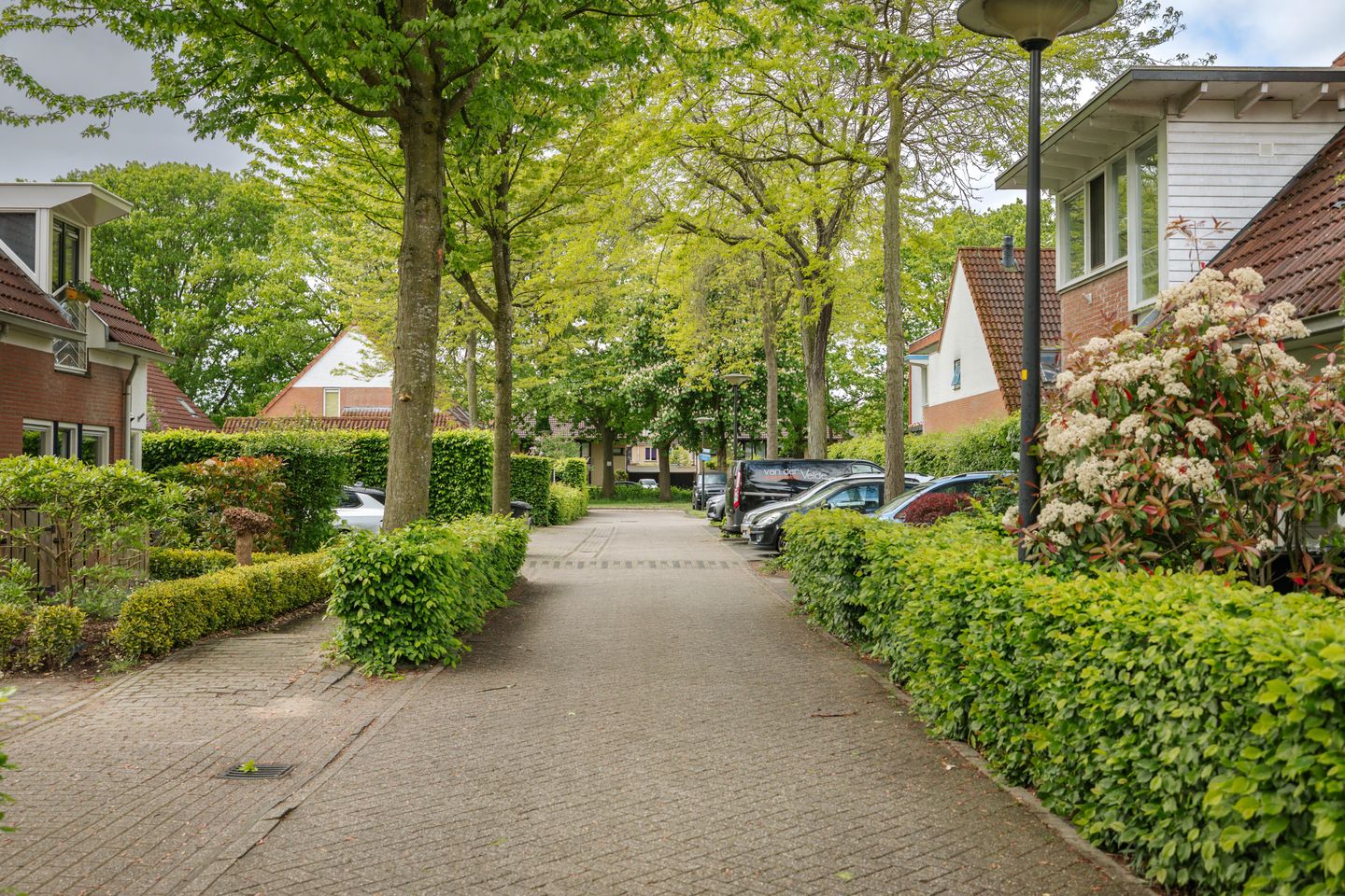 Photo 25 of Verschoorstraat 26