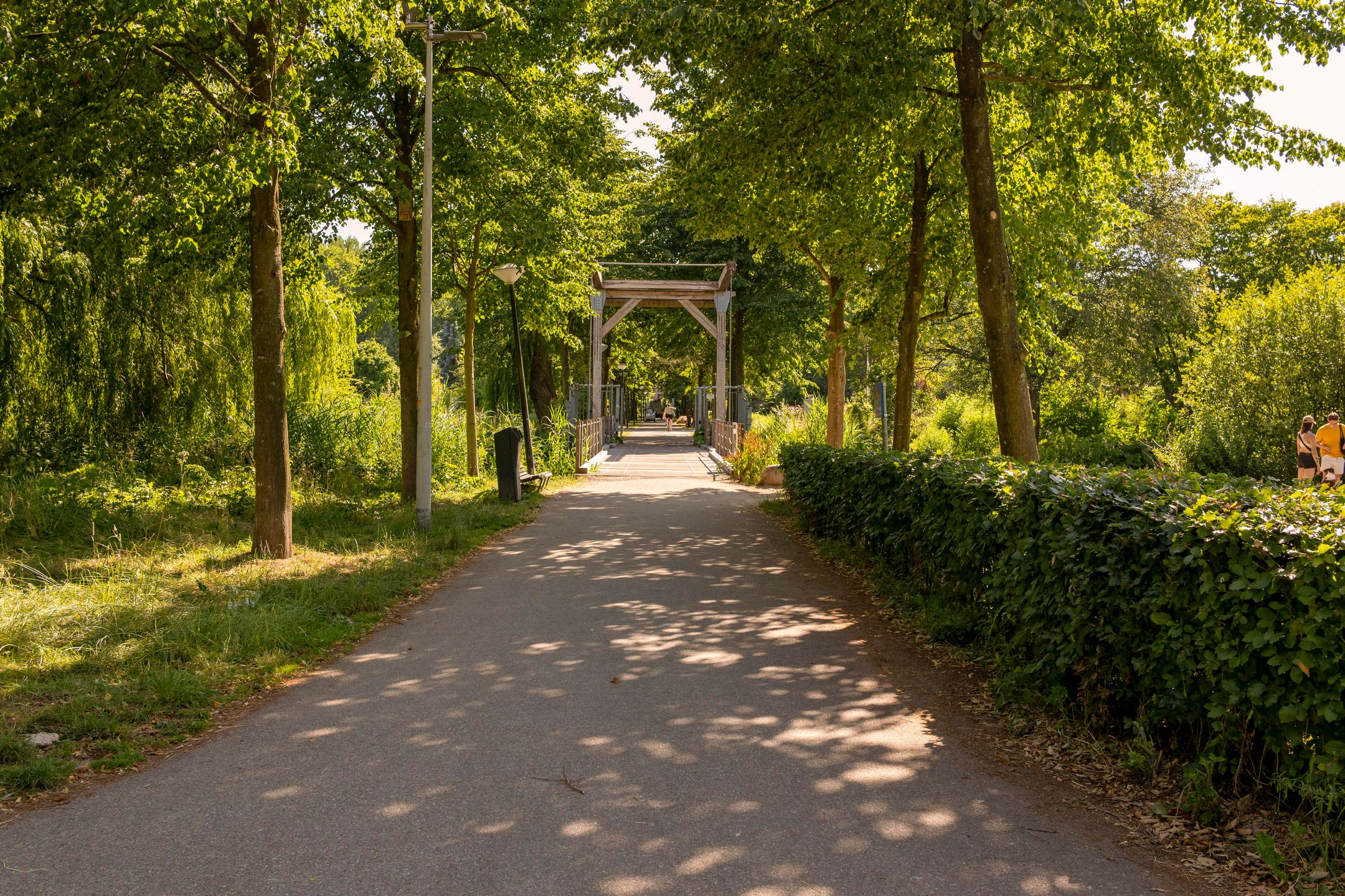 Photo 36 of Pasteurstraat 45