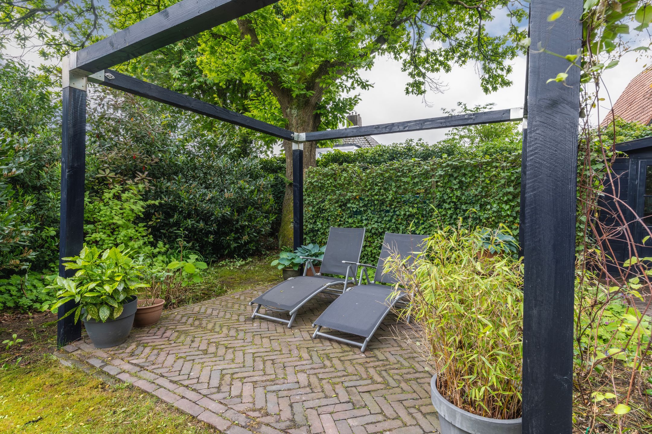 Photo 54 of Hogeweg 12-A