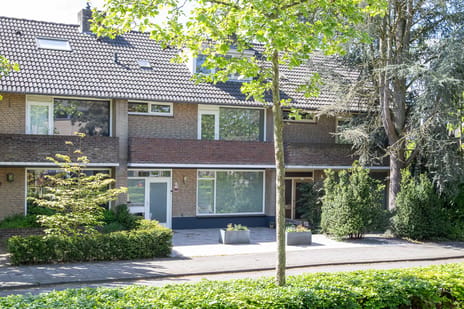 Burgemeester Mollaan thumbnail