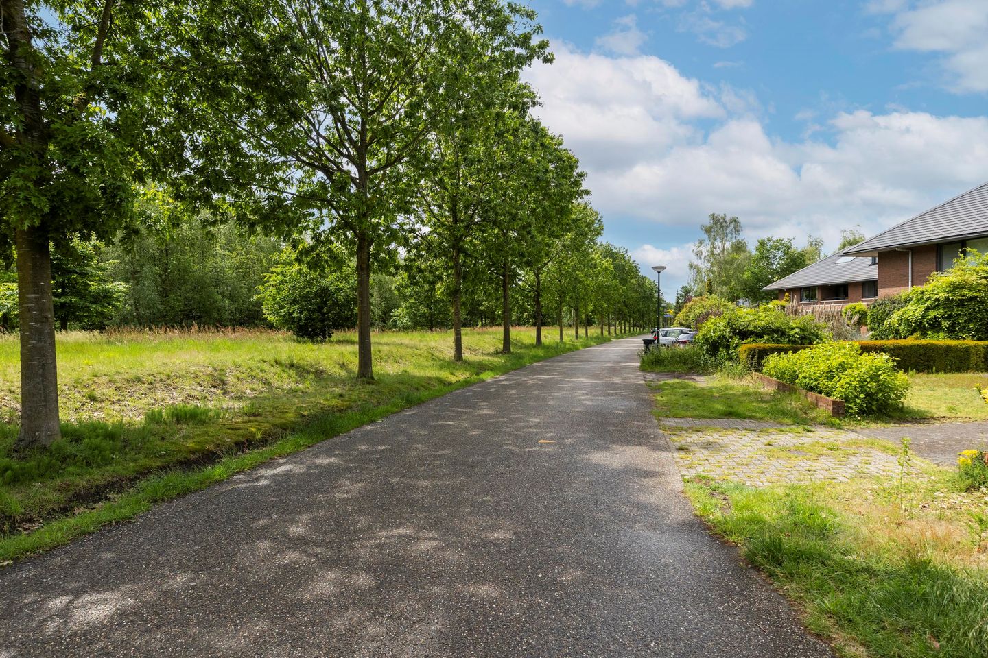 Photo 59 of Heivlinderlaan 3