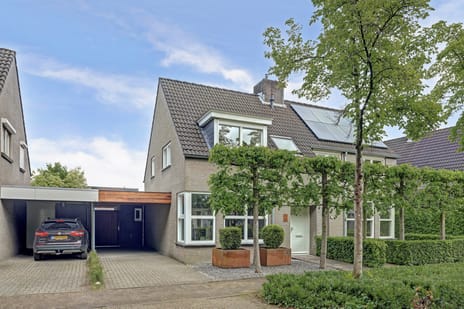 Schoutstraat thumbnail