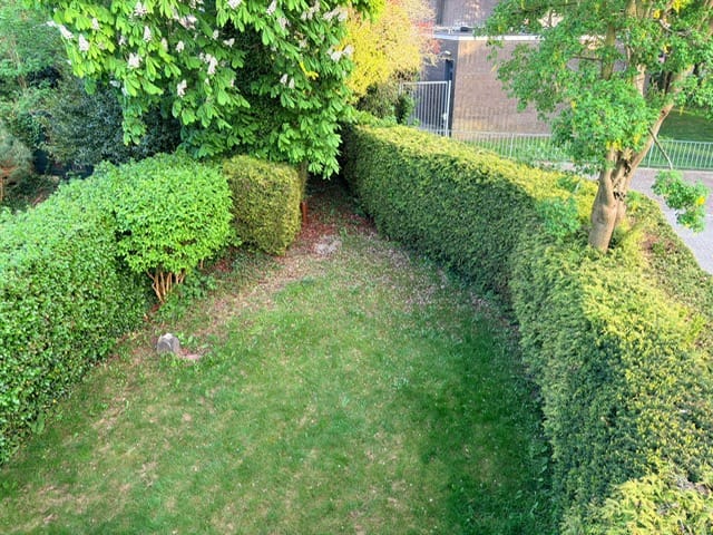 Photo 22 of Nieuwburen 14
