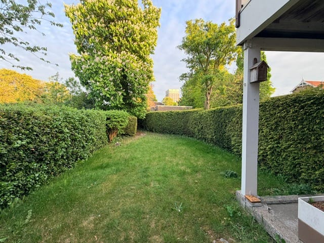Photo 23 of Nieuwburen 14