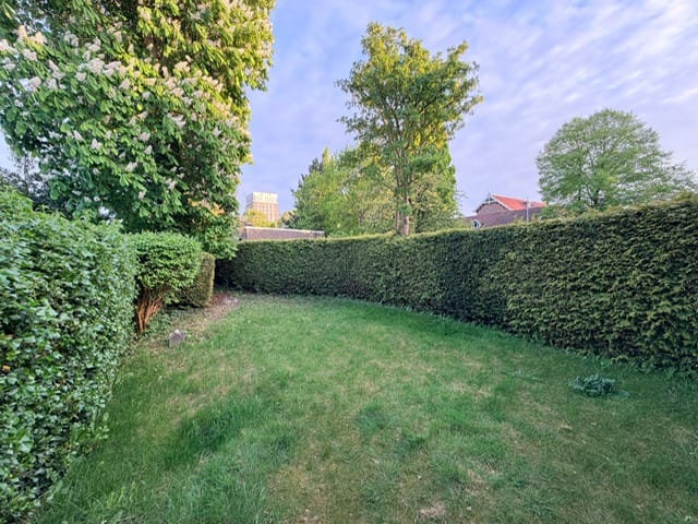 Photo 24 of Nieuwburen 14