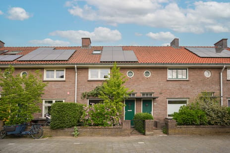 Pippelingstraat thumbnail