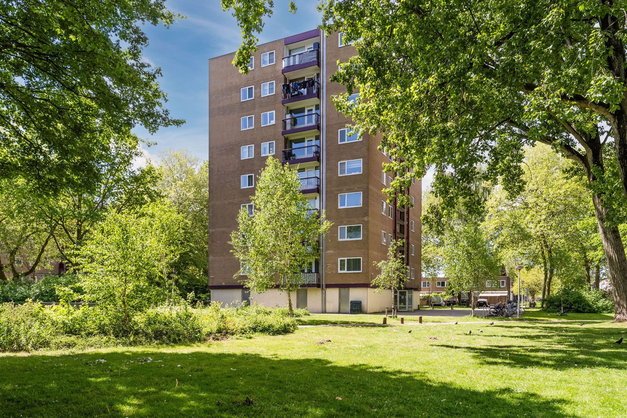 Thijssestraat 157 
