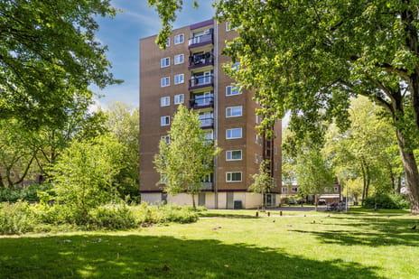Thijssestraat thumbnail