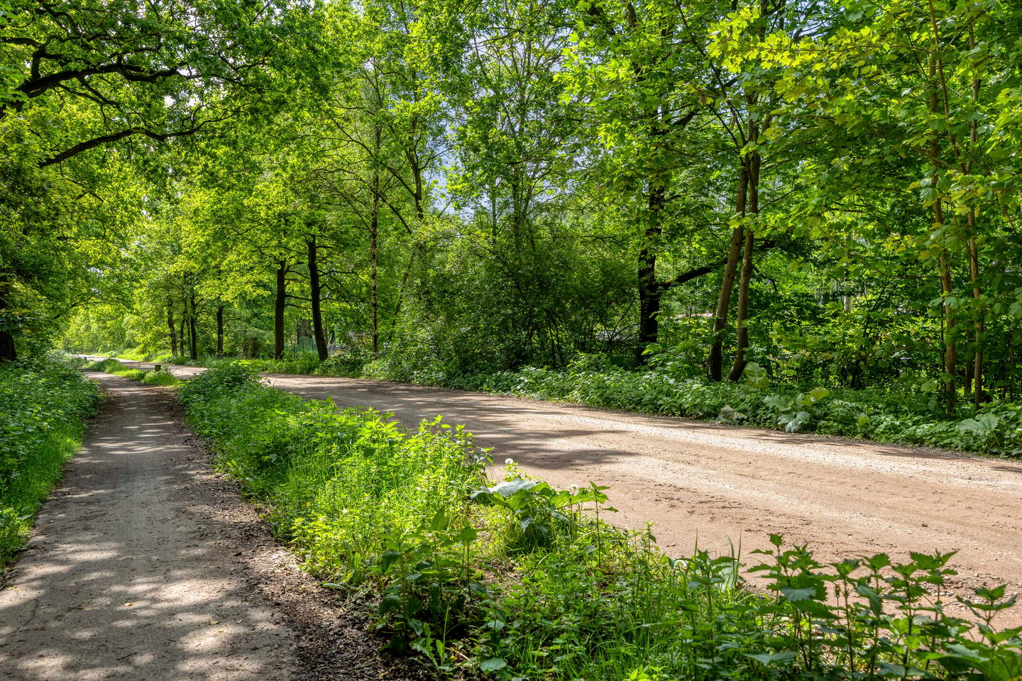 Foto 4 van Nieuwe Baan 49