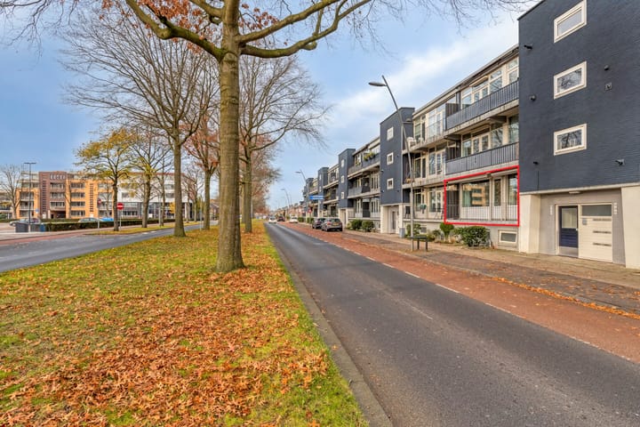 Foto 4 van Singel 1940-1945 50