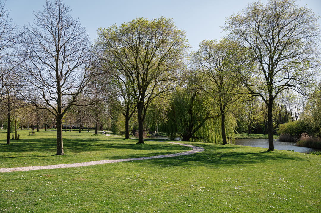 Photo 92 of Groenezoom 1-D