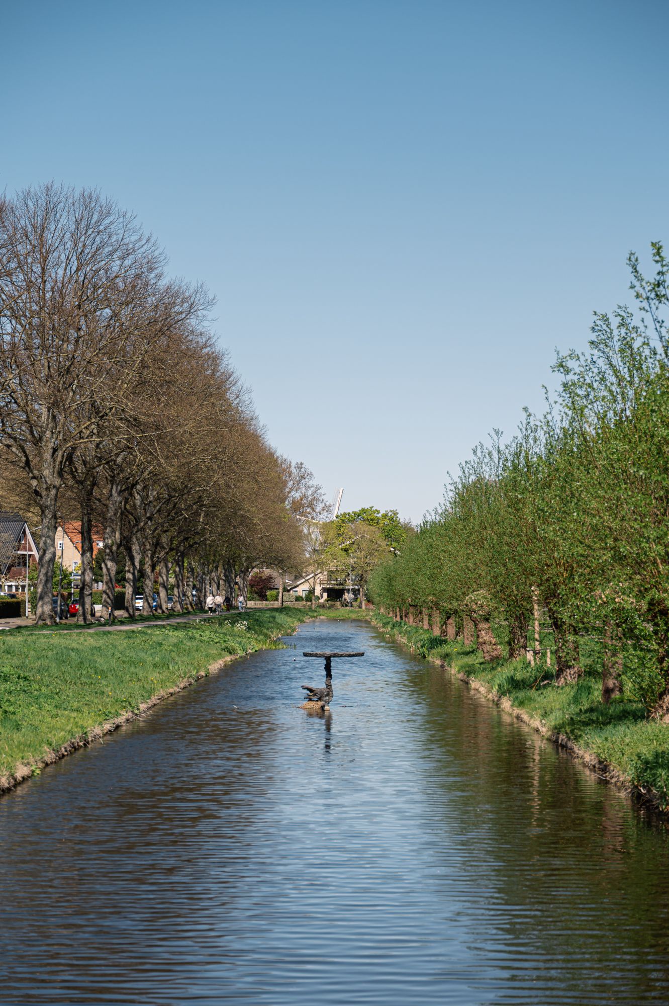 Photo 94 of Groenezoom 1-D