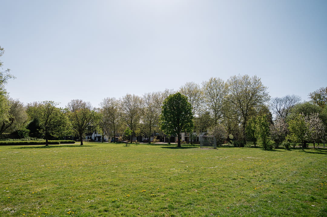 Photo 91 of Groenezoom 1-D