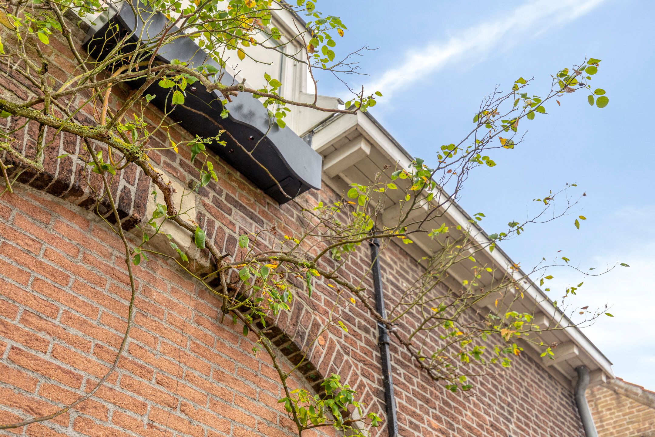 Photo 36 of Putterstraat 80-A