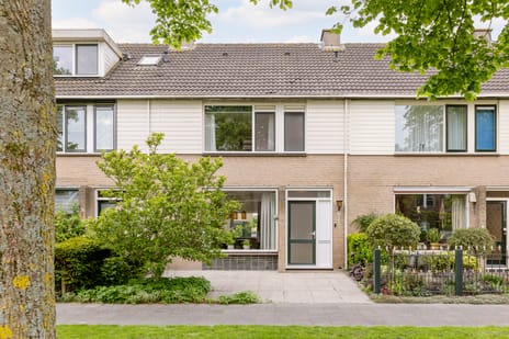 Goudplevier thumbnail
