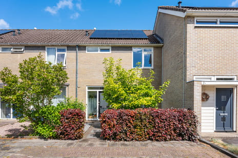 Noordenveld thumbnail