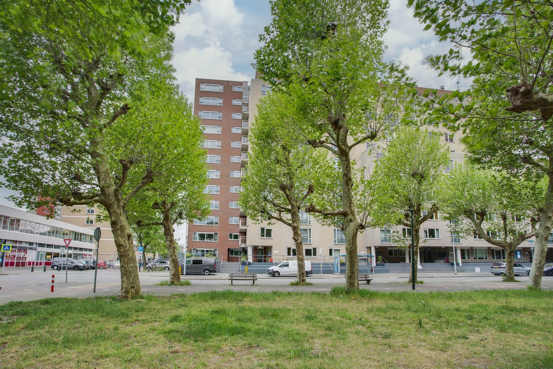Photo 53 of Spinozalaan 36-N