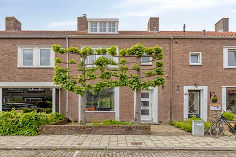 Leliestraat thumbnail