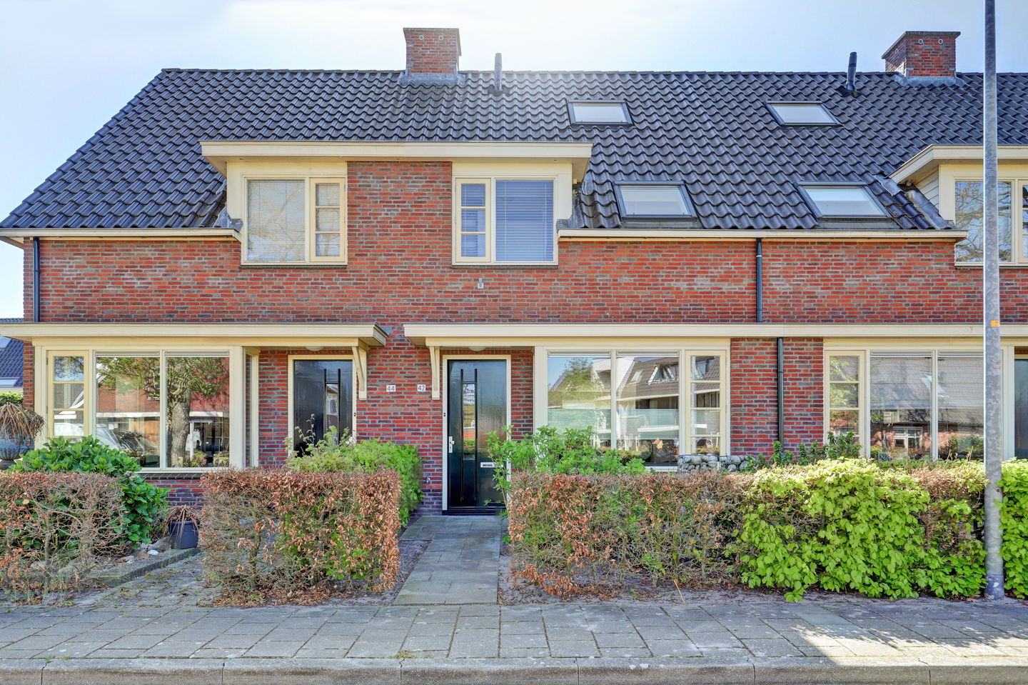 Photo 1 of Boterbloem 42