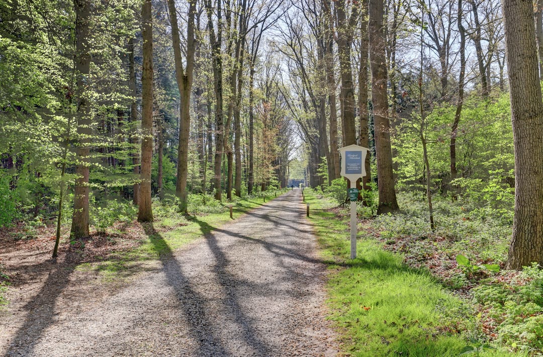 Photo 41 of Boterbloem 42