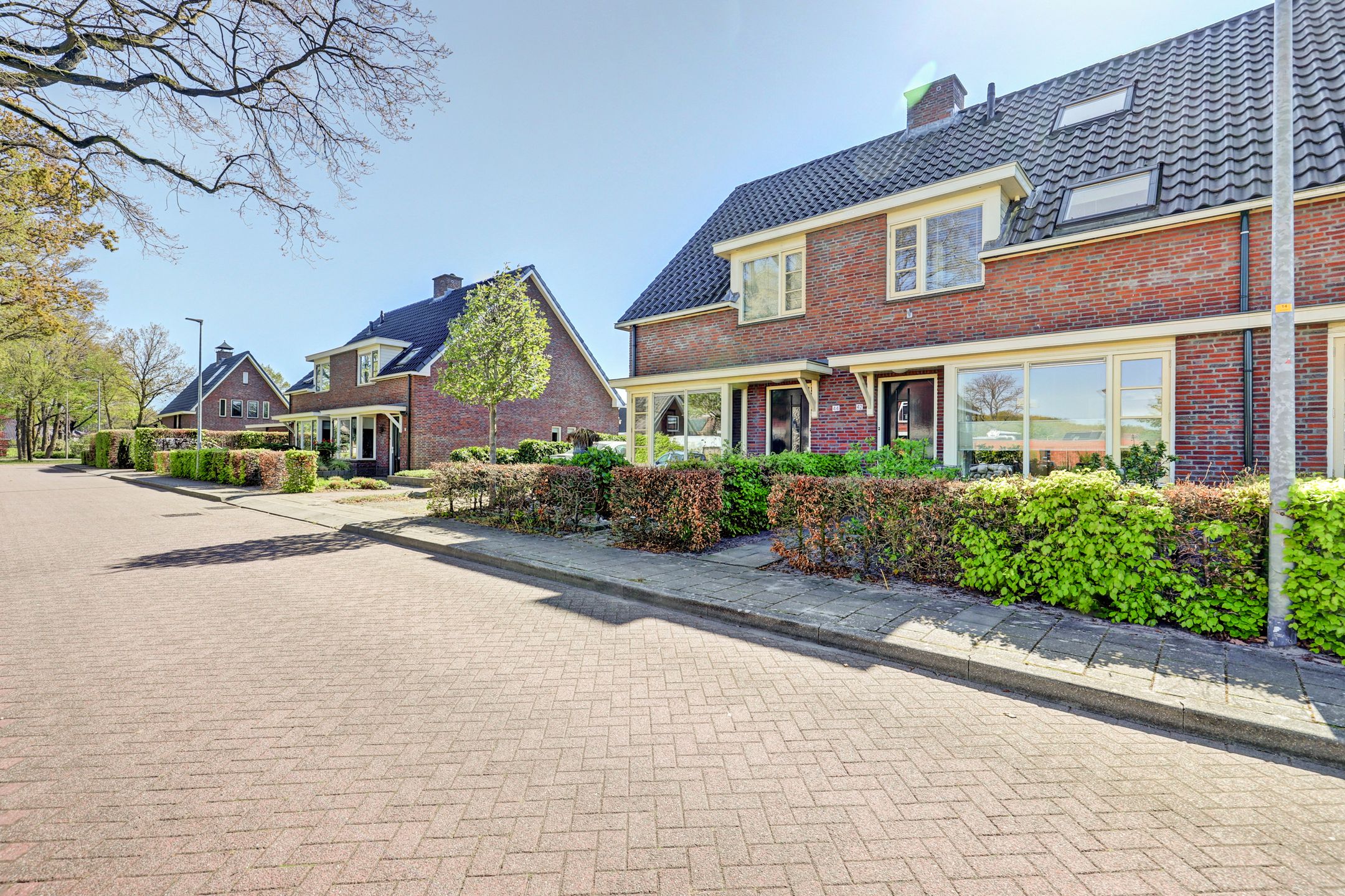 Photo 51 of Boterbloem 42