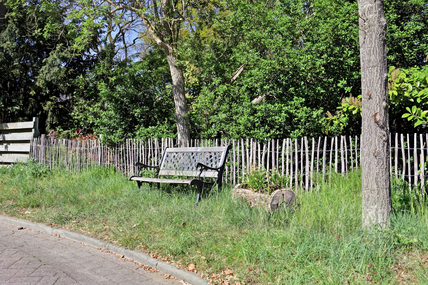 Photo 40 of Boterbloem 42