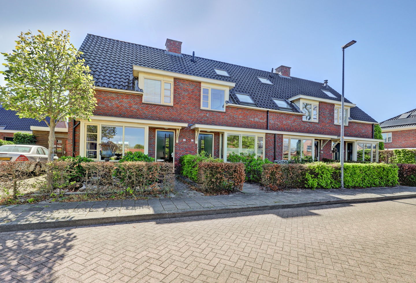 Photo 50 of Boterbloem 42