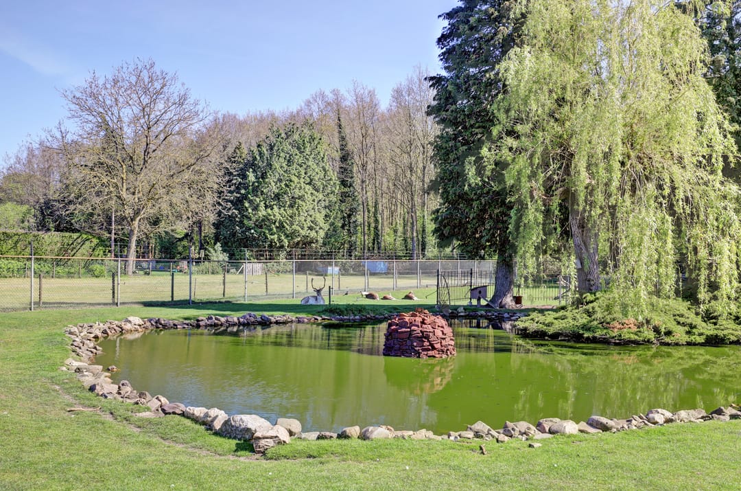 Photo 43 of Boterbloem 42
