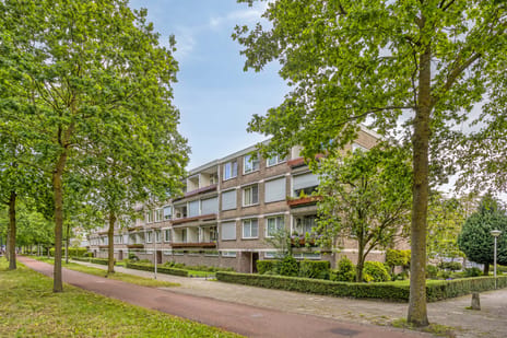 Veldmaarschalk Montgomerylaan thumbnail