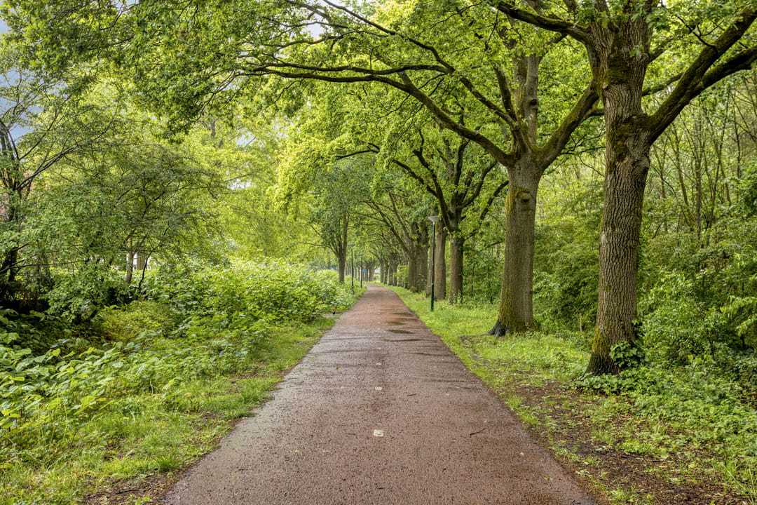 Photo 46 of Den Haak 3