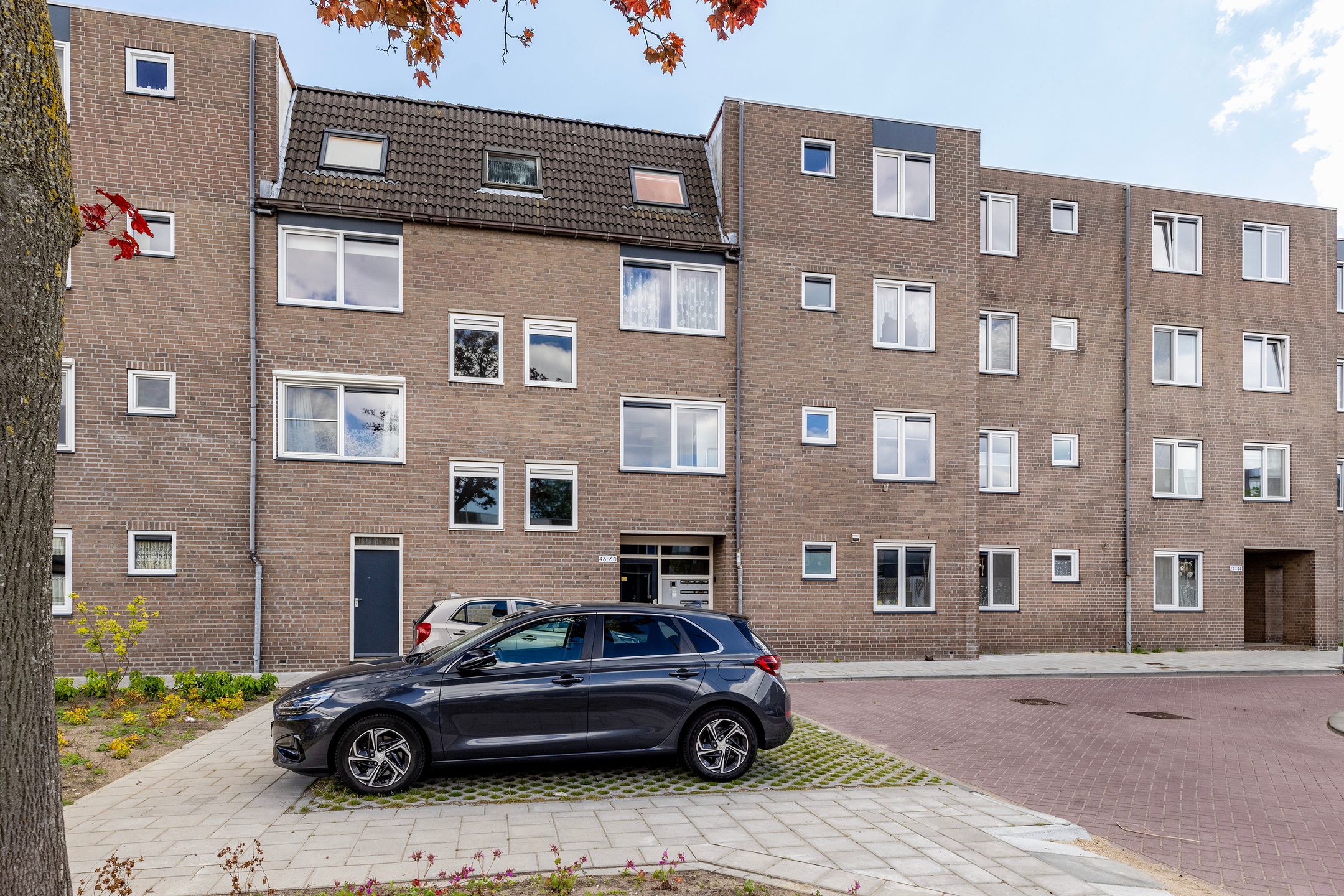 Photo 36 of Ringspoor 50