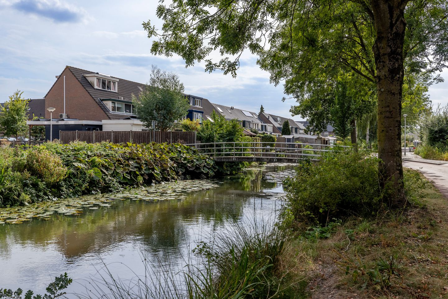 Photo 34 of Ringspoor 50