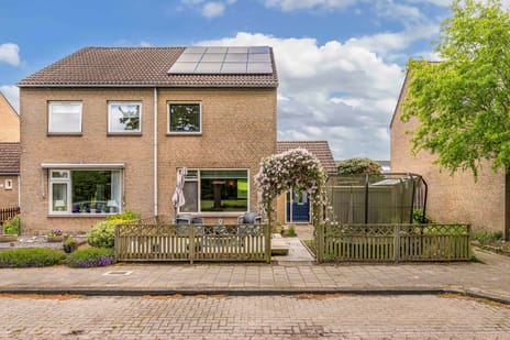 Amazonestraat thumbnail