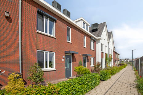 Veenwortel thumbnail