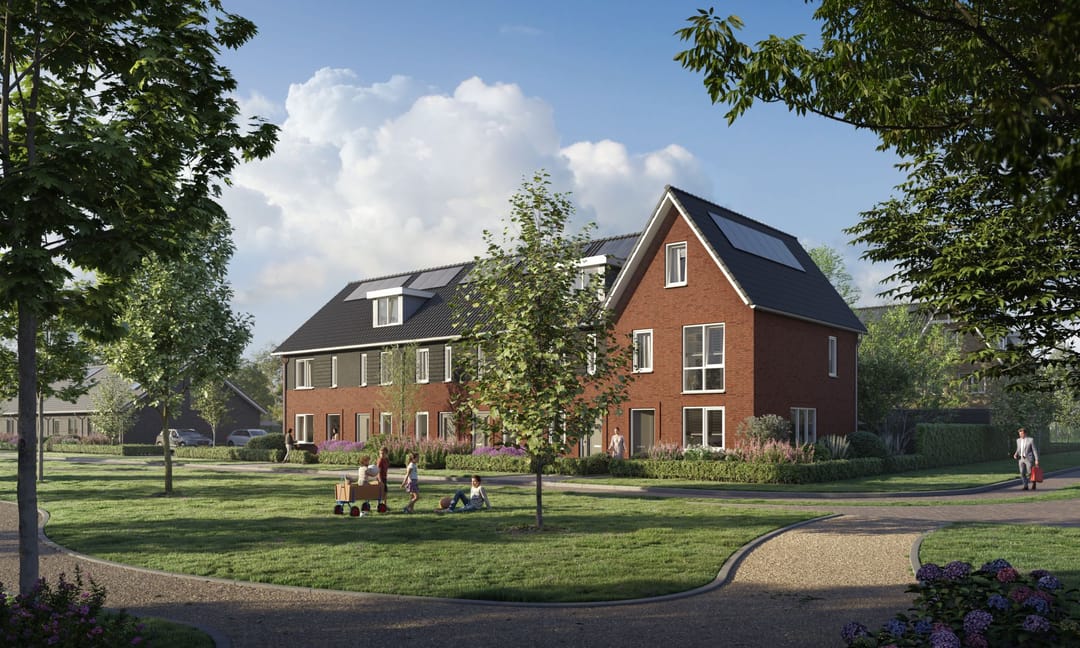 Foto 1 van Bidens (Bouwnr. 41)